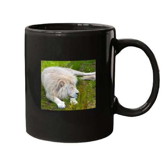 Slumbering Ivory King South African White Lion Mugs