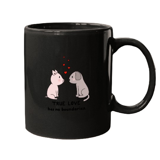 True Love has No Boundaries Mugs