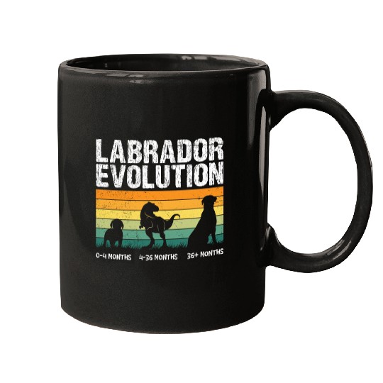 Labrador EVOLUTION Labrador Lovers Funny Mugs