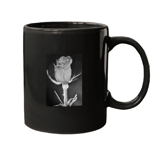 Realistic Graphite Rose & Dew Drawing - RT Art © Mugs