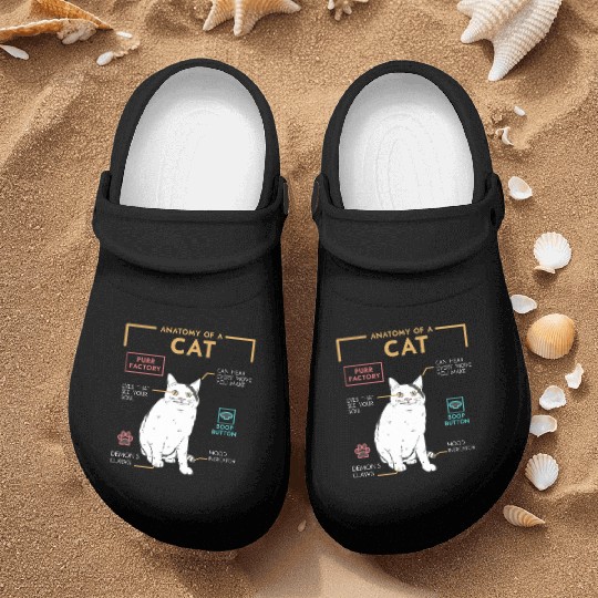 Funny Weird Cat Meme Smiling, Anatomy of A Cat Nurse Clogs