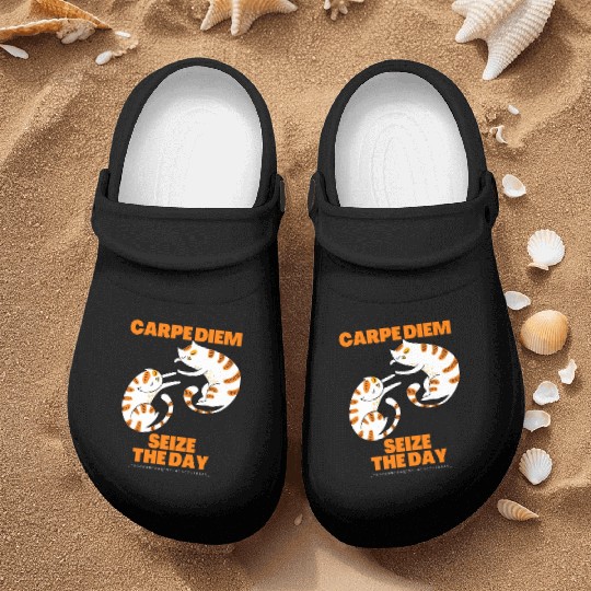 Cats Lover Carpe Diem Seize The Day Nurse Clogs