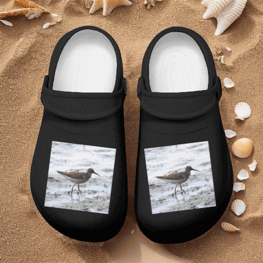 Sandpiper walking along the shore Nurse Clogs
