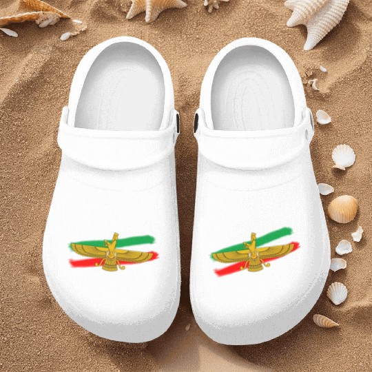 Iran Flag Faravahar Lion Sun Nurse Clogs