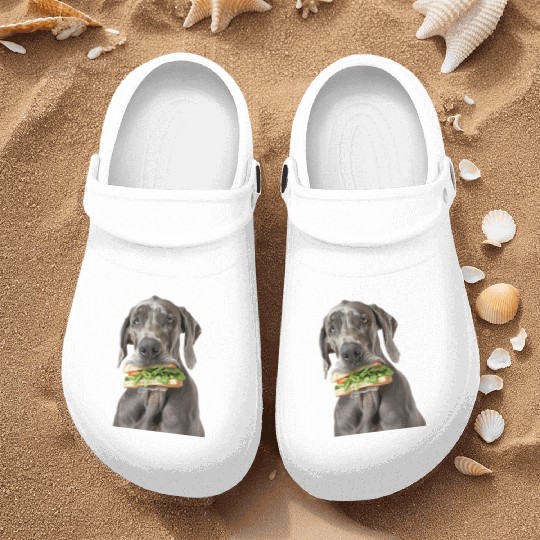 Great Dane Nurse Clogs