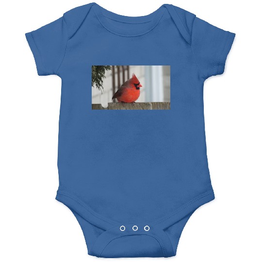 Brilliant Cardinal Bird 2 Onesies