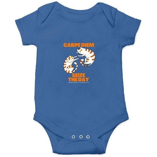 Cats Lover Carpe Diem Seize The Day Onesies