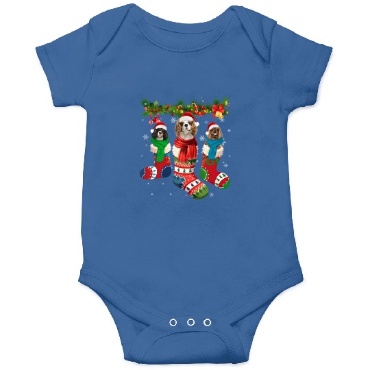 Three Cavalier King Charles Spaniel In Sock Onesies