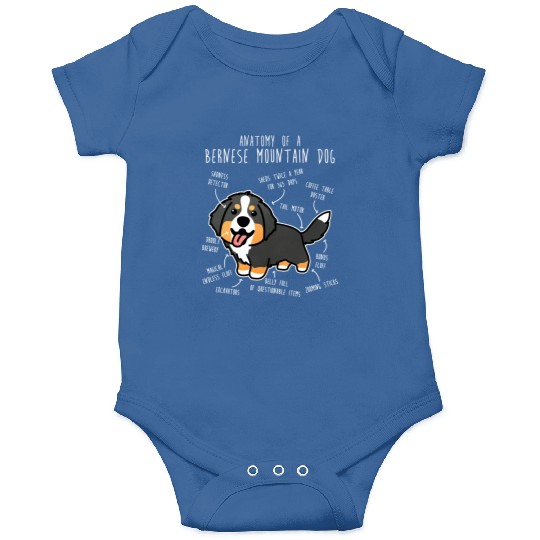 Bernese Mountain Dog Anatomy Onesies