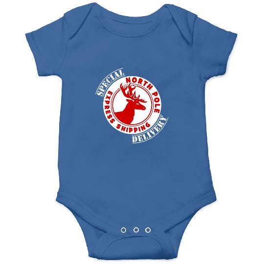 NORTH POLE SPECIAL DELIVERY Onesies