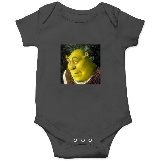 Shrek Face Meme  1: Shrek Same Swamp Forever , Shrek Shirt, Disney Fiona Princess , Shrek,Shrek Onesies