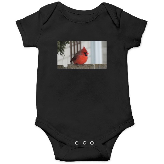Brilliant Cardinal Bird 2 Onesies