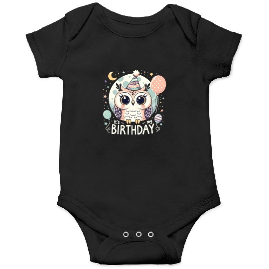 Its My Birthday Sweet Birthday Owl Onesies