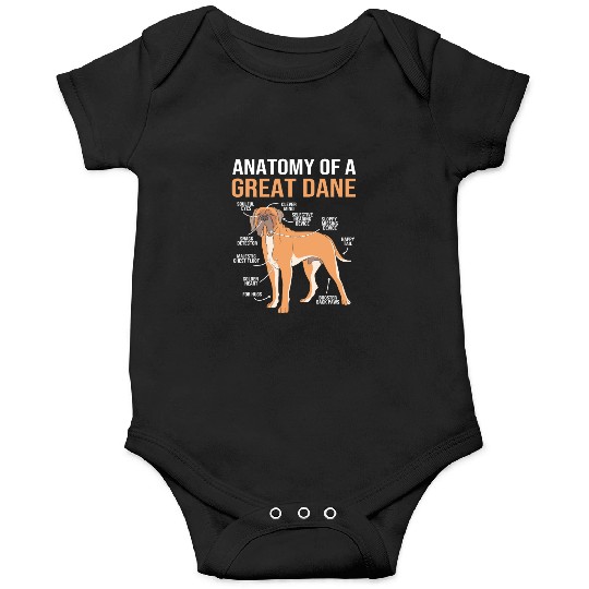 Funny Dog Owner Anatomy Of A Great Dane Onesies