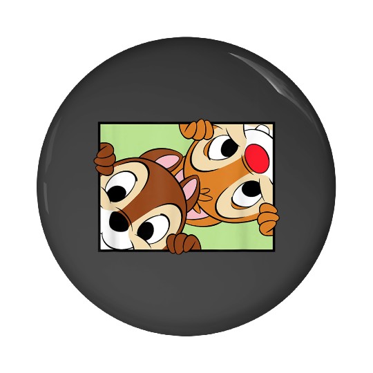 disneys Chip 'n' Dale Rescue Rangers Cute Frame Portrait Pin Buttons