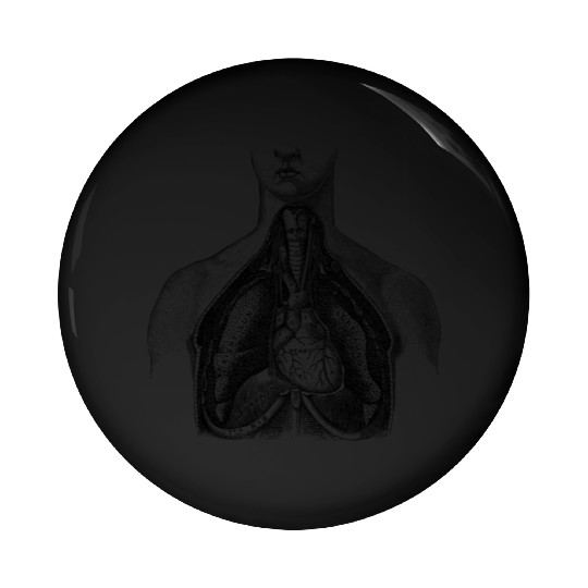 Torso medical illustration Pin Buttons