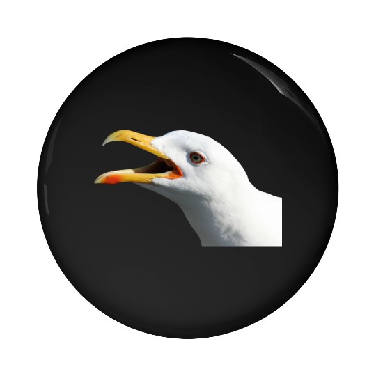 seagull gull moewe1 Pin Buttons