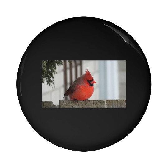 Brilliant Cardinal Bird 2 Pin Buttons