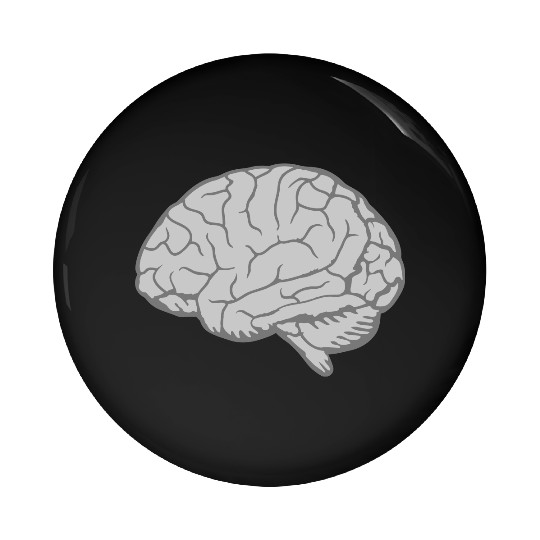 Brain Anatomy Organ Pin Buttons