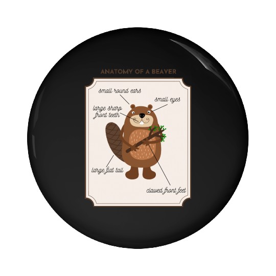 Anatomy of a Beaver Pin Buttons