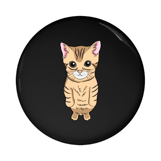 Cute Standing Cat Meme Cute Kitten Standing on Two Pin Buttons