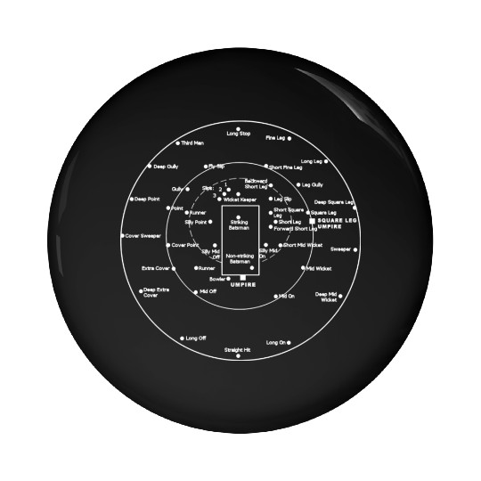 CRICKET PITCH POSITIONS Fielding Positions Diagram Pin Buttons