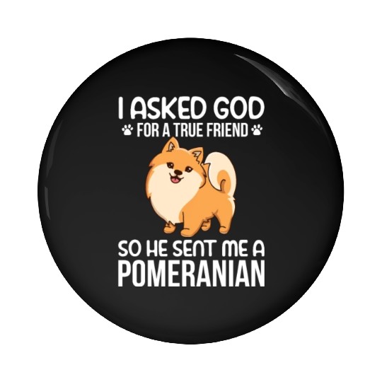 I Asked God For True Friend He Sent Me Pomeranian Pin Buttons