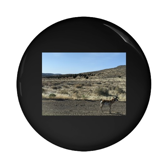 Antelope near Grand Canyon West Pin Buttons