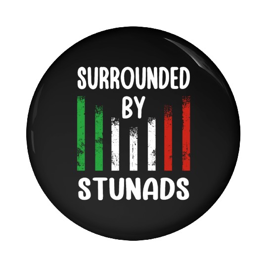 Surrounded By Stunads Italian Pride Italy Flag Pin Buttons
