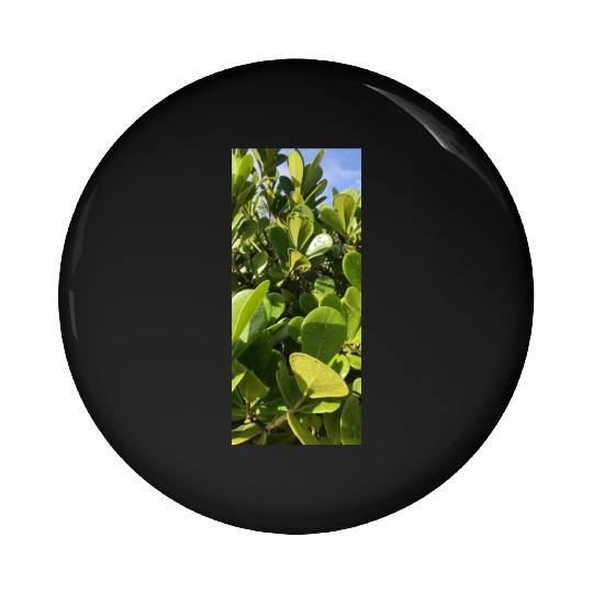 beautiful green plant in the garden Pin Buttons