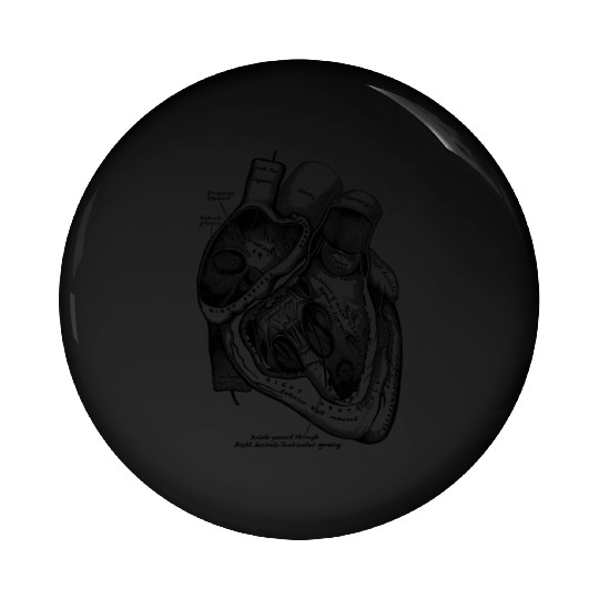 Anatomical Heart Medical Anatomy Illustration Pin Buttons