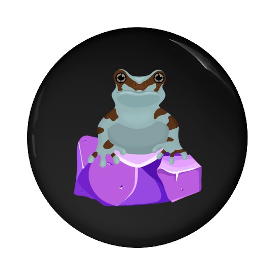 Frog Crystal Amethyst Gemstone For Toad Owners Pin Buttons