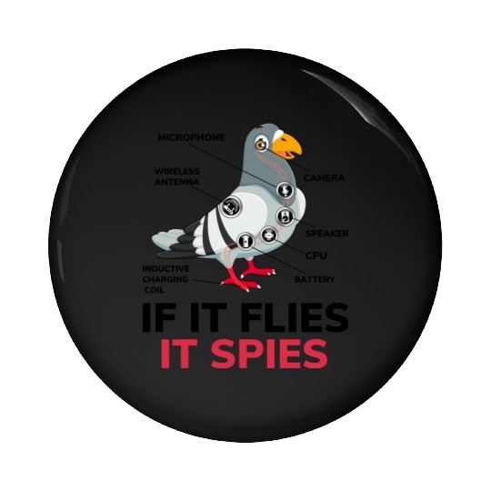 If It Flies It Spies Pigeon Anatomy Bird Aren t Pin Buttons