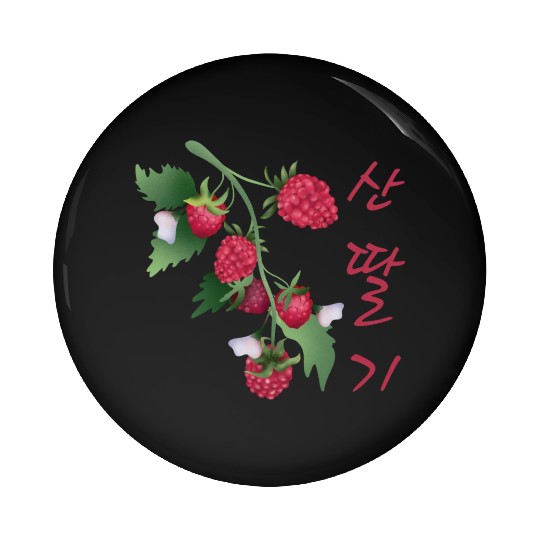 Korean Raspberry Pin Buttons