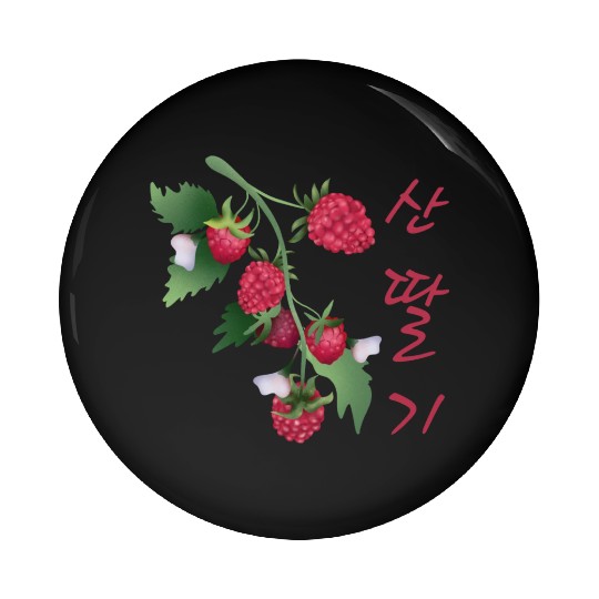 Korean Raspberry Pin Buttons