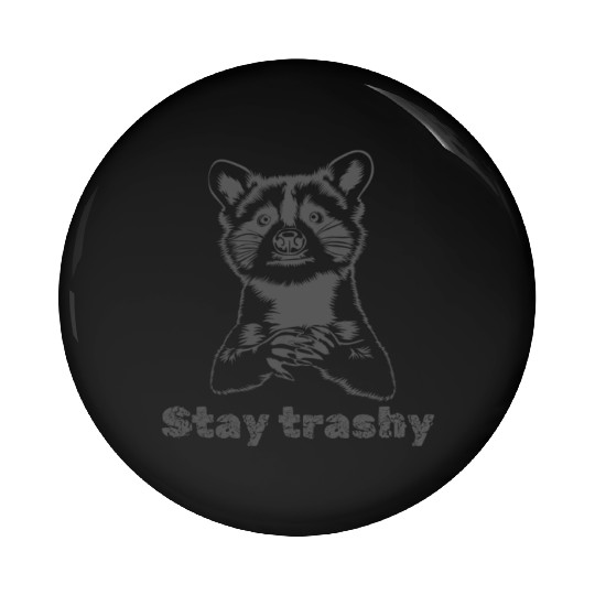 Funny Stay Trashy Possum Raccoon Vintage Street Pin Buttons