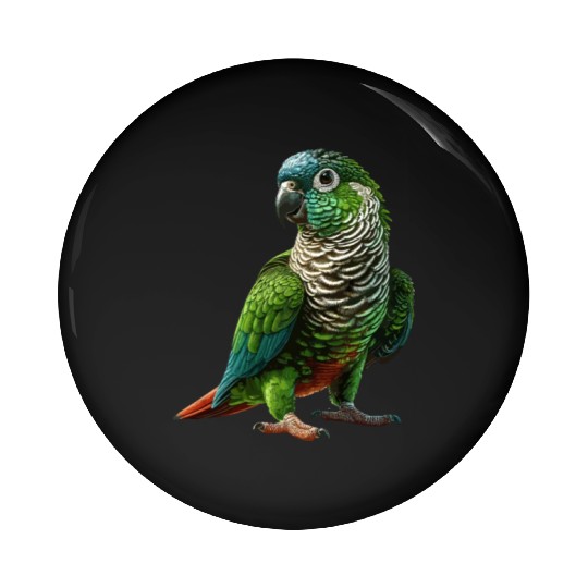 Green Cheeked Conure Drawing Conure Parrot Pin Buttons