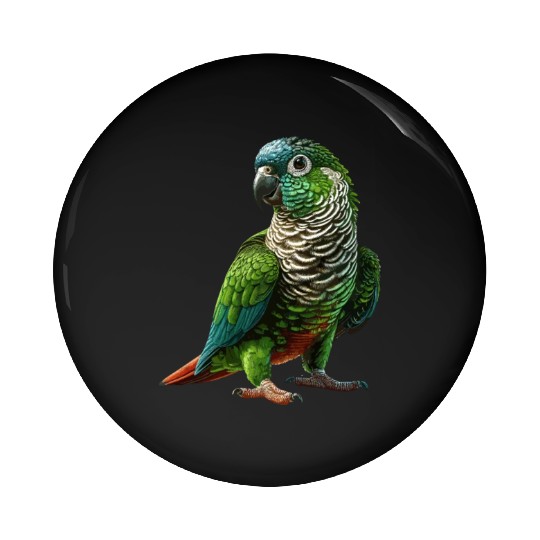 Green Cheeked Conure Drawing Conure Parrot Pin Buttons