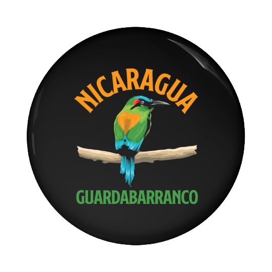 Nicaragua Guardabarranco National Bird Countries Pin Buttons