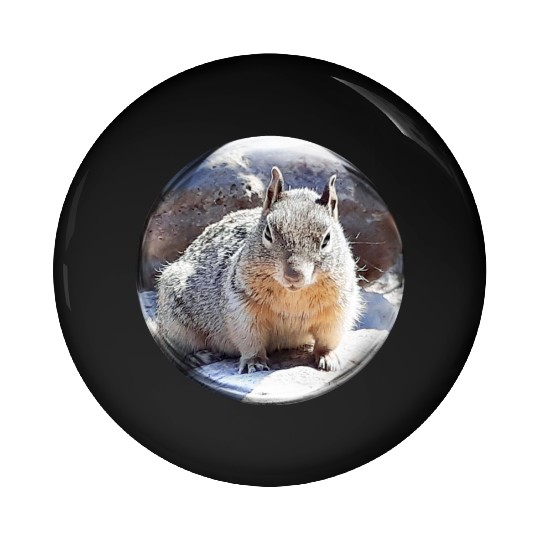 Life In a Bubble Collection- Grand Canyon Squirrel Pin Buttons