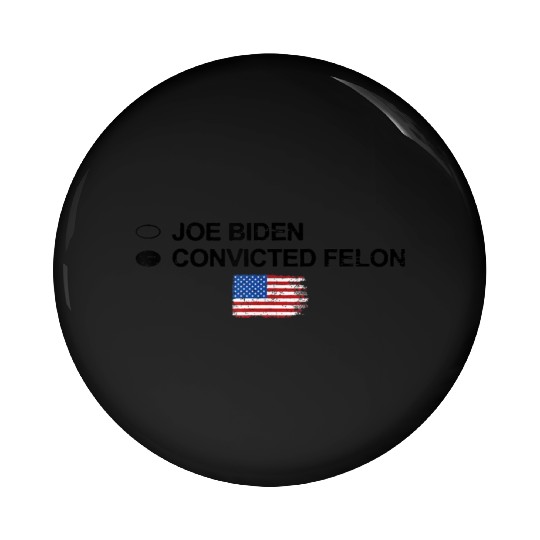 Joe Biden Vs Convicted Felon Funny 2024 Flag Pin Buttons