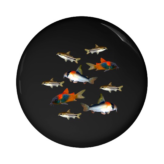 Pygmy Corydoras Adolfoi Corydoras Catfish Aquarium Pin Buttons