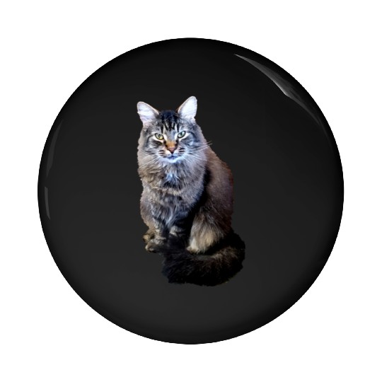 Indie the Cute Cat Pin Buttons