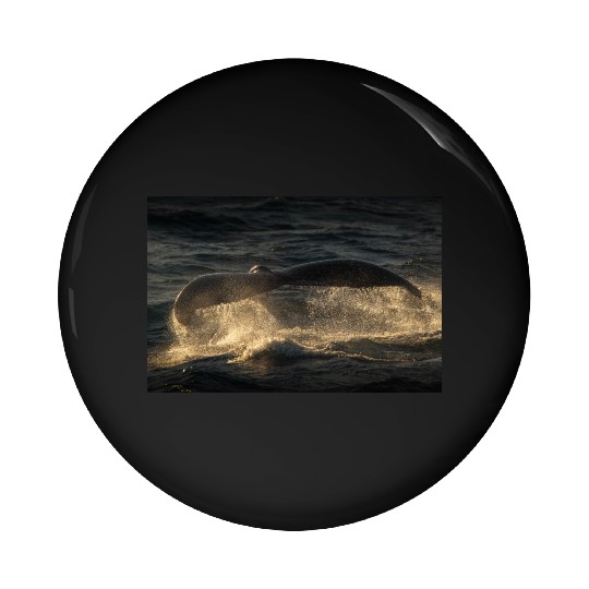 Humpback Whale Tail Pin Buttons