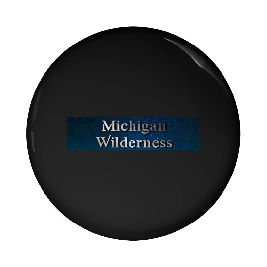 Michigan wilderness Pin Buttons