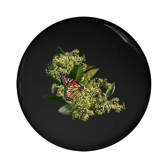 Monarch Butterfly on Euonymus Pin Buttons