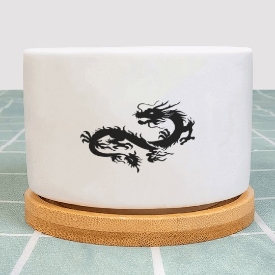 Chinese dragon art Plant Pots