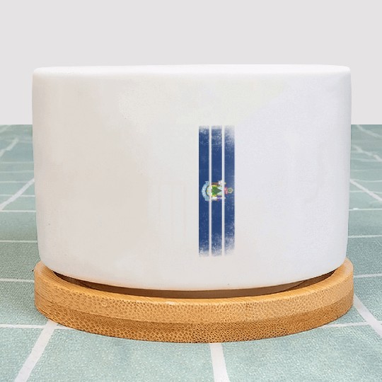 USA Vintage Maine State Flag Plant Pots