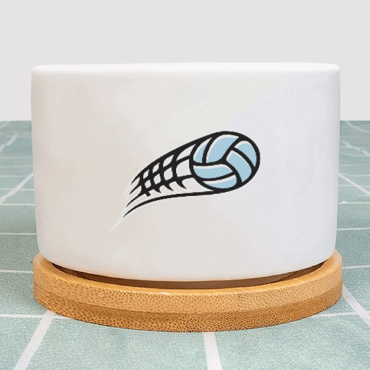 Volleyball Plant Pots