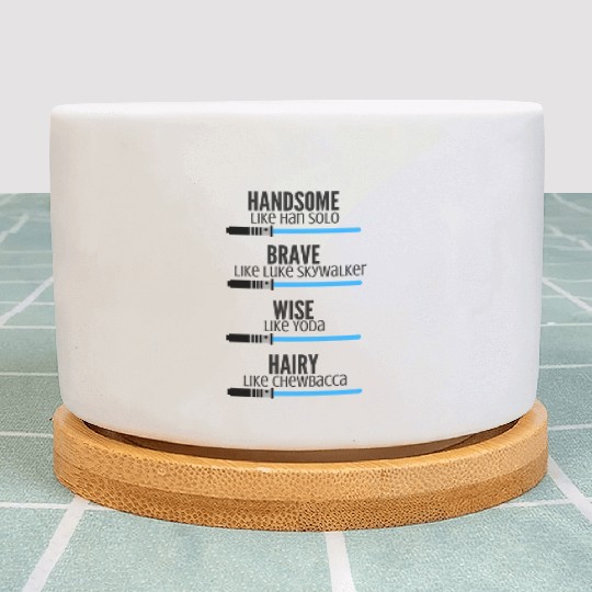 Handsome like Han Solo Plant Pots